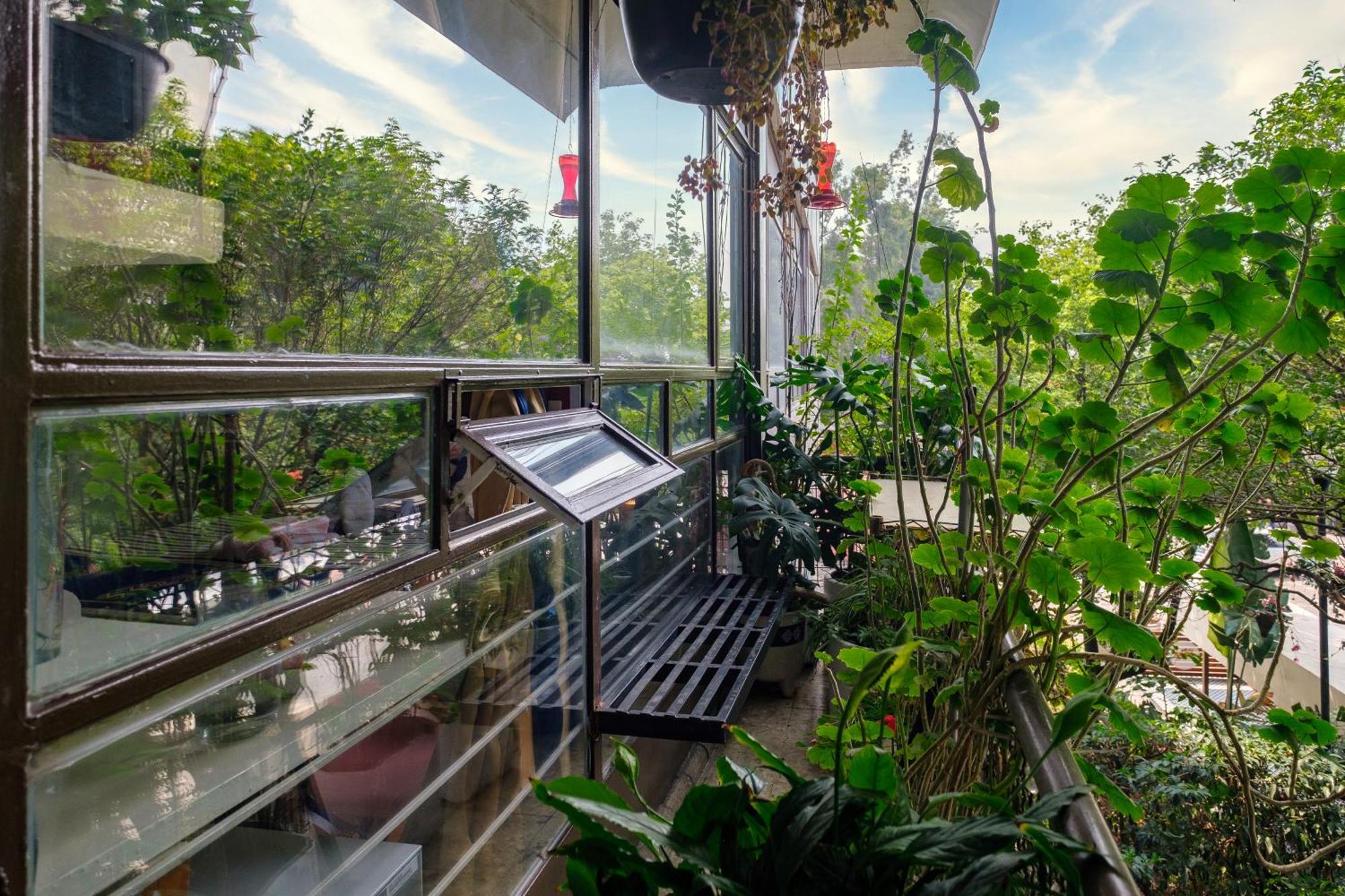 Casa Itzae B&B Polanquito Dog Friendly Cidade do México Exterior foto
