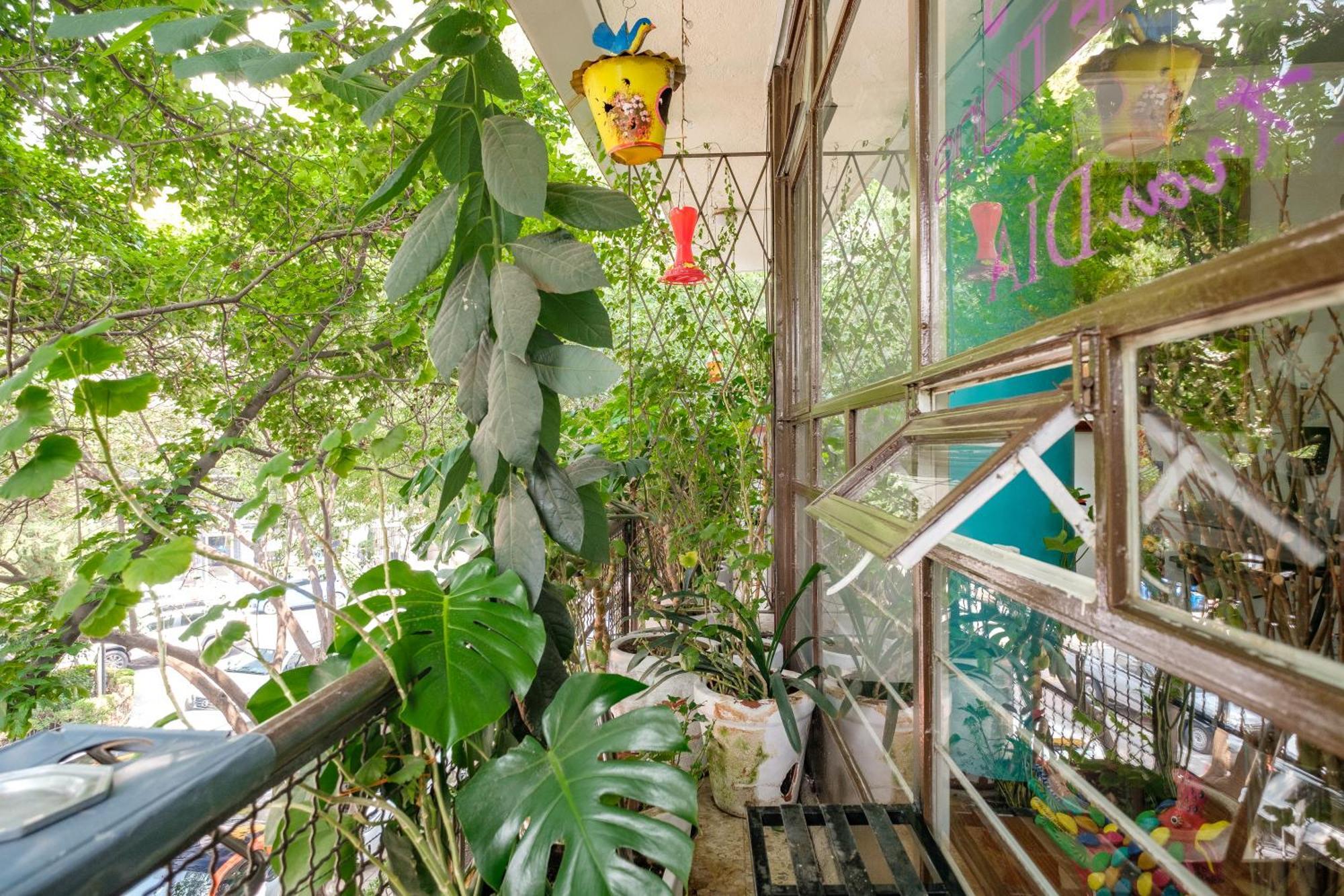 Casa Itzae B&B Polanquito Dog Friendly Cidade do México Exterior foto