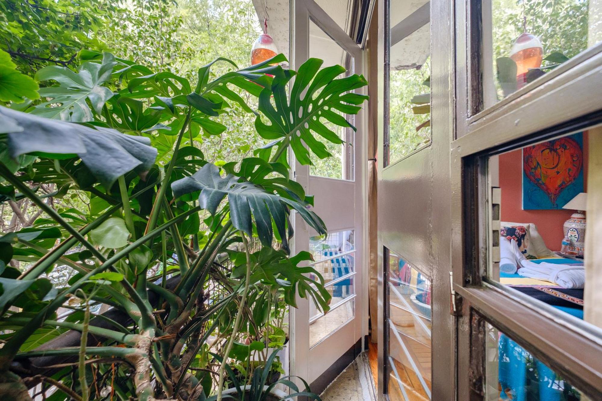 Casa Itzae B&B Polanquito Dog Friendly Cidade do México Exterior foto